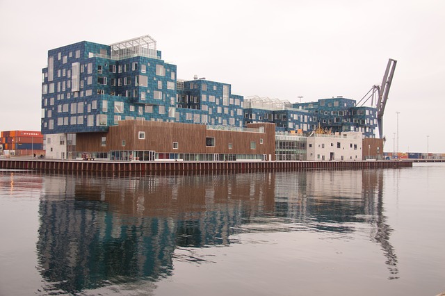 univerzita dánsko